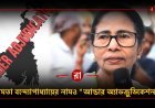 "বাংলার যত লোক আছে, হঠাৎ হাপিস! ভ্যানিশ হয়ে গেল!" নির্বাচন কমিশনকে তোপ মুখ্যমন্ত্রীর