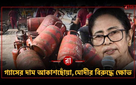 গ্যাসের দামে আগুন, রাস্তায় মুখ্যমন্ত্রী! কেন্দ্রকে কড়া হুঁশিয়ারি দিলেন মমতা বন্দ্যোপাধ্যায়