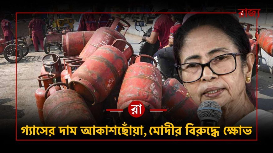 গ্যাসের দামে আগুন, রাস্তায় মুখ্যমন্ত্রী! কেন্দ্রকে কড়া হুঁশিয়ারি দিলেন মমতা বন্দ্যোপাধ্যায়