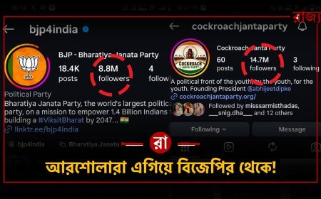 “ভয় আউট, ককরোচ ইন!” — বিজেপির চেয়েও বেশি ফলোয়ার আরশোলা জনতা পার্টির