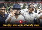 ডিম ছোড়া মামলায় বড় নির্দেশ কলকাতা হাই কোর্টের, রাজ্যের কাছে রিপোর্ট তলব