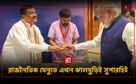 বাংলার ঝালমুড়ি দিল্লিতে, কিন্তু বাংলার সমস্যার সমাধান কোথায়? উঠছে প্রশ্ন