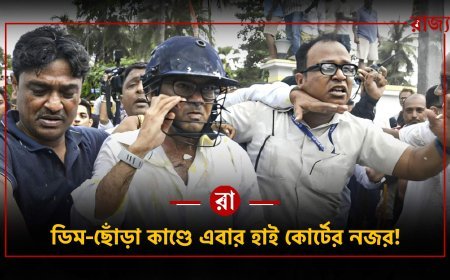 ডিম ছোড়া মামলায় বড় নির্দেশ কলকাতা হাই কোর্টের, রাজ্যের কাছে রিপোর্ট তলব
