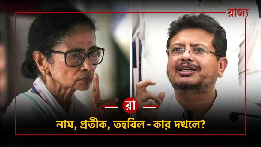 তৃণমূলের নাম-প্রতীক ও তহবিল কার হাতে? নির্বাচন কমিশনের বৈঠকের পর বড় দাবি ঋতব্রতের