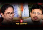 মেয়ো রোডে ‘না’! ২৮ অগস্ট দুই জায়গায় দুই তৃণমূল, বড় নির্দেশ হাই কোর্টের