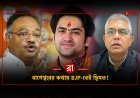 পুজোর খাবারেও কি রাজনীতি? বাঙালির মাছ-মাংস নিয়ে BJP-তেই কেন দুই সুর?